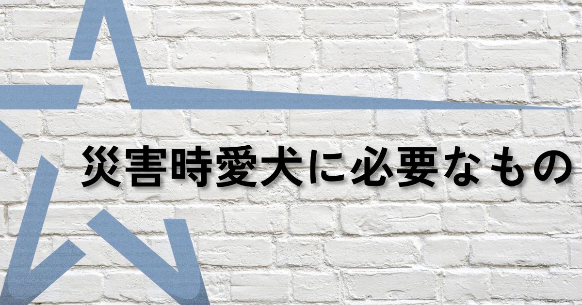 災害時愛犬に必要なものサムネ